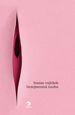 Bezejmenná touha - Jan Vojtíšek