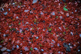 LK Baits IQ Method Mix Fruit 1,5kg,LK Baits IQ Method Mix Fruit 1,5kg