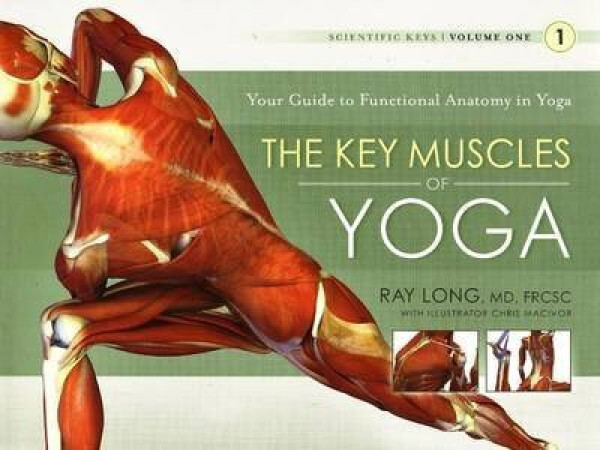 Key Muscles of Yoga - Ray Long