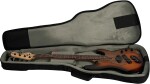 Dingwall SP1 4 RW Vintage Burst