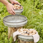 Ib Laursen Plechový obal na květiny Bowl Urban Garden M, šedá barva, kov