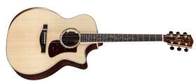 Eastman AC822CE