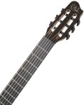 Godin Arena Pro Ltd CW Onyx Black