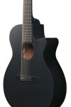 Ibanez AEG721 Black Out