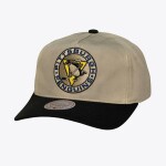 Mitchell & Ness Pánská kšiltovka Pittsburgh Penguins NHL Retro Roots Deadstock Vintage
