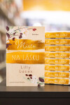 Místo na lásku - Lilly Lucas