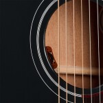 Gibson Hummingbird Special Satin Ebony