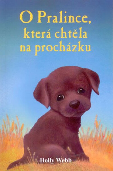 O Pralince, která chtěla na procházku - Holly Webb