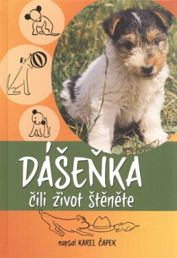 Dášeňka čili život štěněte - Karel Čapek