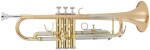 Arnolds & Sons ATR-4200G Terra