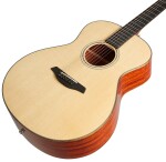 Furch Yellow Plus G-SP CNR Active