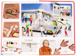 Dinosauři Proč byli tak velcí?