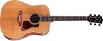 Taylor Gold Label 810e Honduran Rosewood