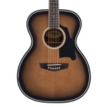 D'Angelico Premier Tammany Orchestra E Aged Burst