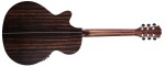 Dowina Danubius GACE-S