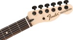 Fender Jim Root Telecaster EB SGD