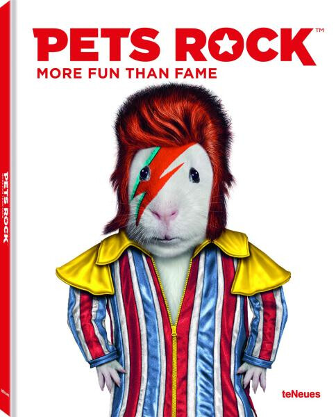Pets Rock. More Fun Than Fame - Takkoda