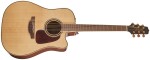Takamine P4DC