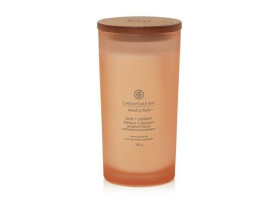 Vonná svíčka CHESAPEAKE BAY CANDLE Love & Passion 355g