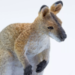 Safari Ltd. Safari Ltd. Figurka - Klokan (Wallaby)