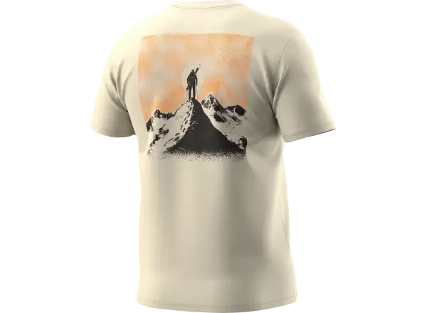 Dynafit Back Graphic Cotton pánské triko krátký rukáv Overcast/Summit vel. M
