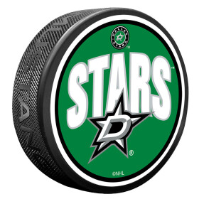 Mustang Puk Dallas Stars NHL Wordmark