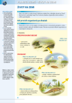 Přírodopis pro základní školy Zoologie botanika,