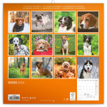 Nástěnný poznámkový kalendář Presco Group 2024 - Psi, 30 × 30 cm - BEZ ČEŠTINY