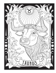 Creative Haven Astrology, antistresové omalovánky, Jessica Mazurkiewicz