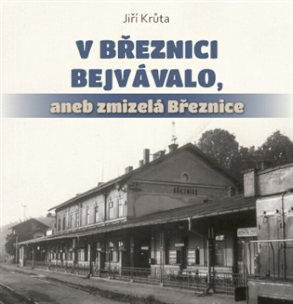 V Březnici bejvávalo, aneb zmizelá Březnice - Jiří Krůta