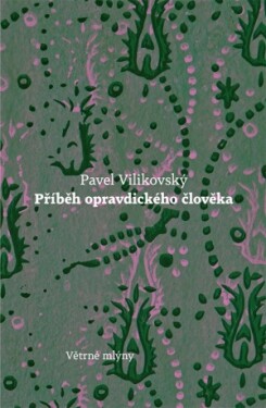 Příběh opravdického člověka - Pavel Vilikovský - e-kniha