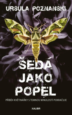Šedá jako popel (poškozené) - Ursula Poznanski