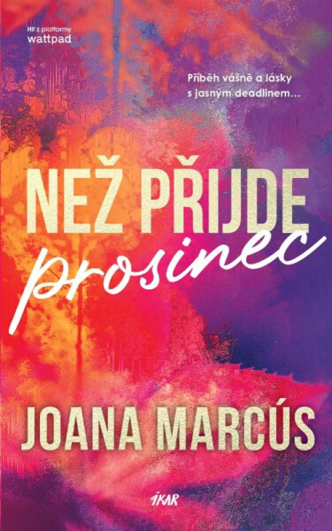 Než přijde prosinec - Marcús Joana