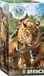 EUROGRAPHICS Puzzle Save Our Planet: Tygři XL