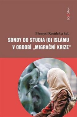 Sondy do studia islámu období „migrační krize“ Přemysl Rosůlek