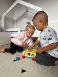 Mamido Dřevěná vzdělávací vkládačka 15ks – Objevuj barvy a tvary Montessori