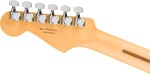 Fender Player II Modified Stratocaster RW DSK
