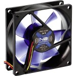 Thermaltake TOUGHFAN 12 White High Static Pressure Radiator Fan (Single Fan Pack) CL-F117-PL12WT-A