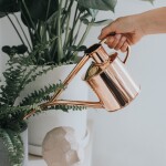 HAWS Set konvičky s kropítkem a rozprašovače Copper, měděná barva, kov