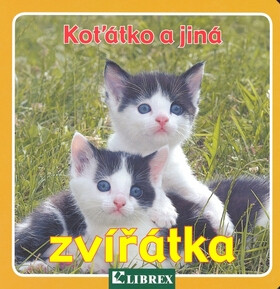 Koťátko jiná zvířátka