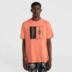 O'Neill Mix Match Palm T-Shirt 92800613905