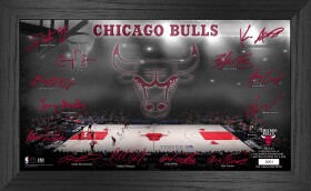 Highland Mint Obraz Chicago Bulls NBA Signature Court 2022
