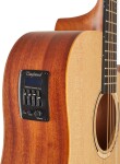 Tanglewood TR 5 CE