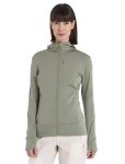 Dámská merino mikina s kapucí ICEBREAKER Wmns 260 Quantum IV LS Zip Ho, Lichen velikost: S