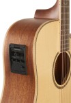 Tanglewood TP5 SE