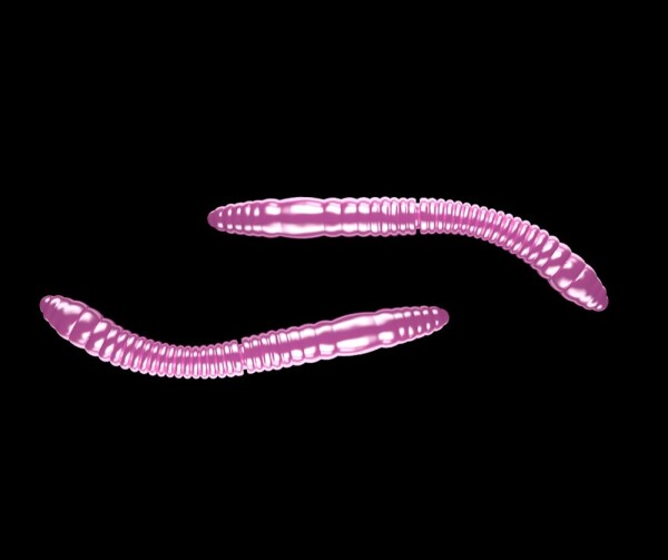 Libra Lures Fatty D’Worm Pink Pearl,Libra Lures Fatty D’Worm Pink Pearl