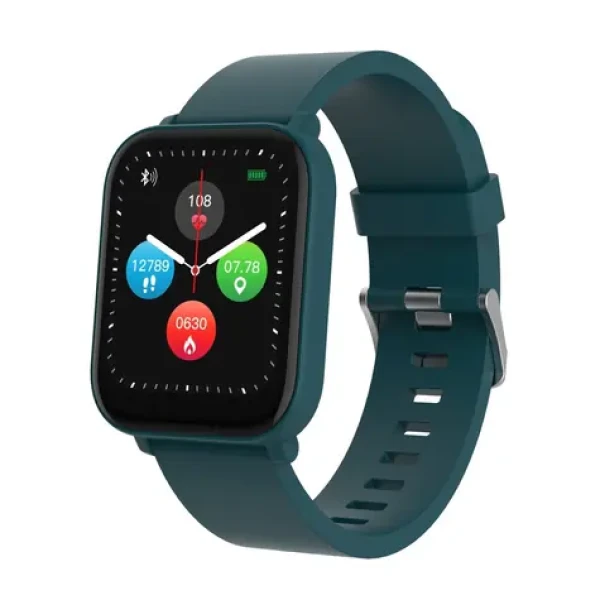 CANYON EASY SW-54 zelená / Chytré hodinky / 1.7" IPS / snímač tepu / BT 4.0 / IP68 / Canyon Life / Android a iOS (CNS-SW54BG)