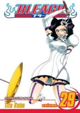 Bleach 29 (anglicky) - Noriaki Kubo