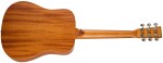 Tanglewood TR2