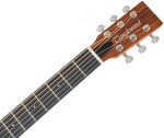 Tanglewood TM4CE